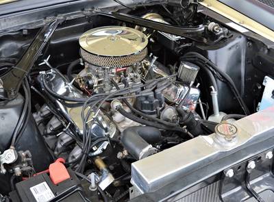 Ford Mustang Shelby Terlingua 302