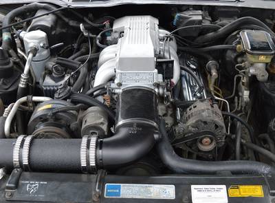 Pontiac Trans Am WS6 HO