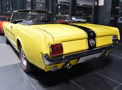 Ford Mustang Terlingua Shelby