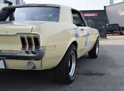Ford Mustang Shelby Terlingua 302