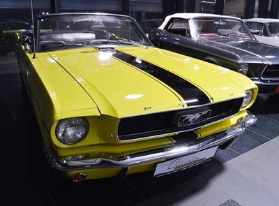 Ford Mustang Terlingua Shelby