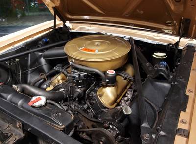 Ford Mustang 289
