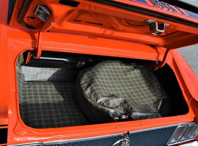 Ford Mustang Mach1 351 "Survivor"