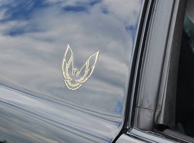 Pontiac Trans Am WS6 HO