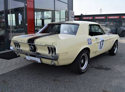 Ford Mustang Shelby Terlingua 302