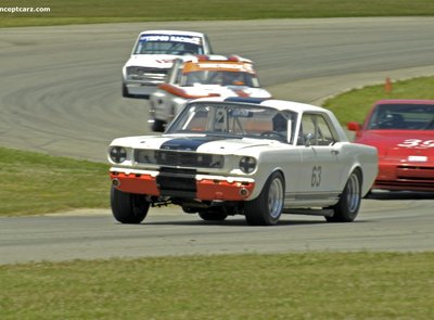 Ford Mustang Terlingua Shelby