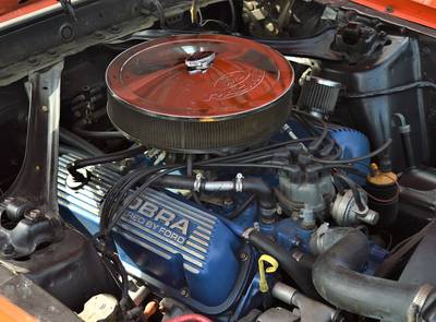 Ford Mustang Mach1 351 "Survivor"