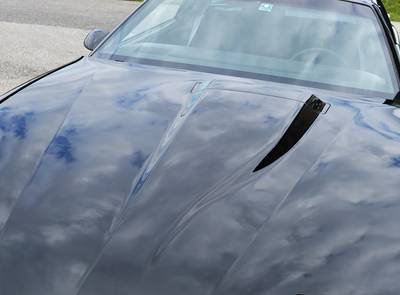 Pontiac Trans Am WS6 HO