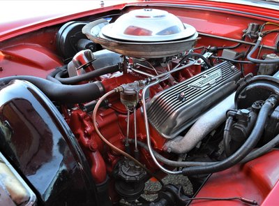 Ford Thunderbird Roadster 292cui