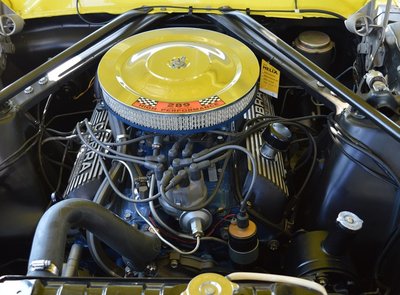 Ford Mustang Terlingua Shelby