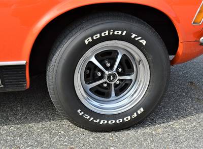 Ford Mustang Mach1 351 "Survivor"