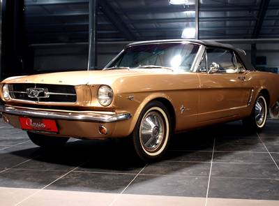 Ford Mustang 289