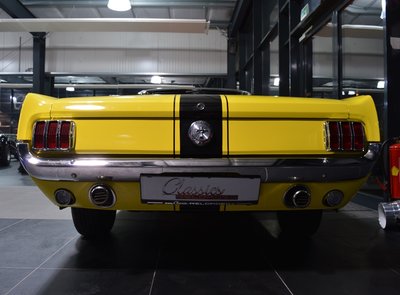 Ford Mustang Terlingua Shelby