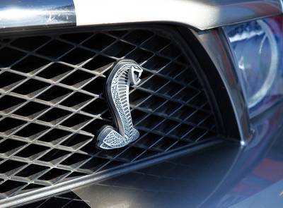 Ford Mustang Shelby GT500