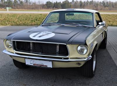 Ford Mustang Shelby Terlingua 302