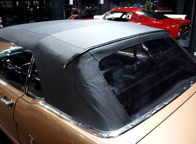 Ford Mustang 289