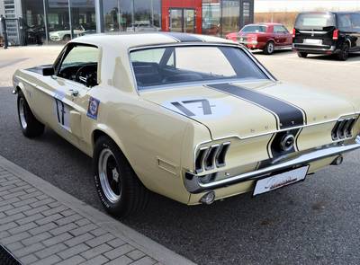 Ford Mustang Shelby Terlingua 302