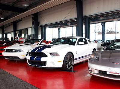 Shelby GT 500 SVT