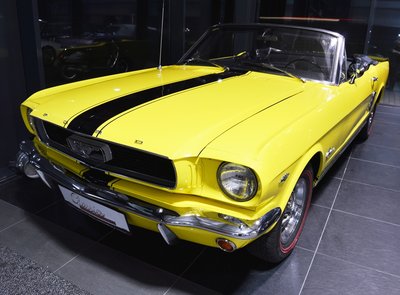 Ford Mustang Terlingua Shelby