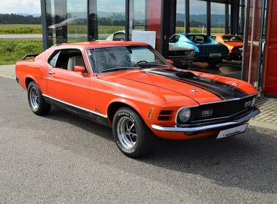Ford Mustang Mach1 351 "Survivor"
