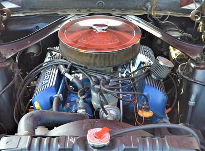 Ford Mustang Mach1 351 "Survivor"