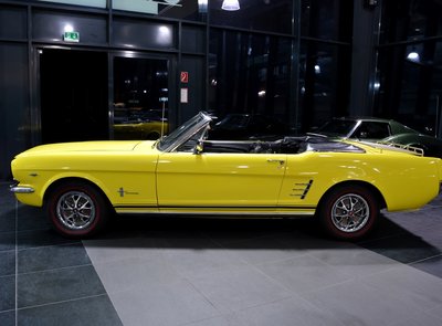 Ford Mustang Terlingua Shelby