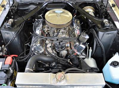 Ford Mustang Shelby Terlingua 302