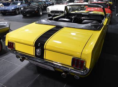Ford Mustang Terlingua Shelby