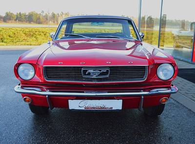 Ford Mustang Coupe 289 V8
