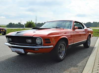 Ford Mustang Mach1 351 "Survivor"