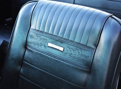 Ford Mustang Cabrio, 289 V8, Pony