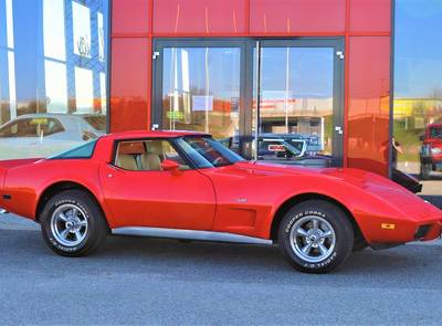 Chevrolet Corvette Stingray, Targa L48
