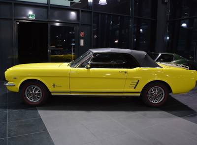 Ford Mustang Terlingua Shelby