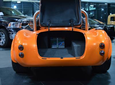 Shelby Cobra Magnum Replica