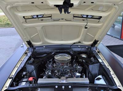 Ford Mustang Shelby Terlingua 302
