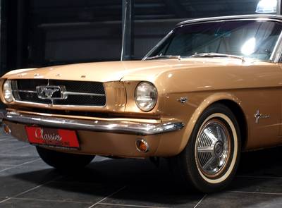 Ford Mustang 289