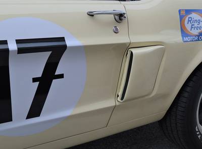 Ford Mustang Shelby Terlingua 302
