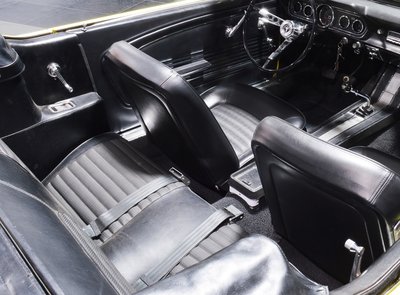 Ford Mustang Terlingua Shelby
