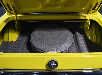 Ford Mustang Terlingua Shelby