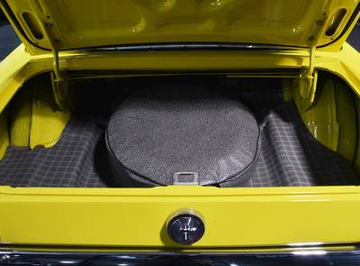 Ford Mustang Terlingua Shelby