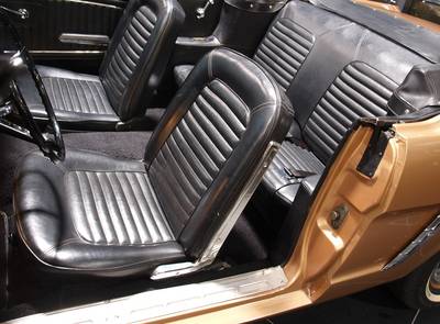 Ford Mustang 289
