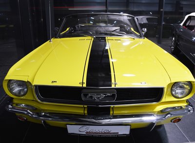 Ford Mustang Terlingua Shelby