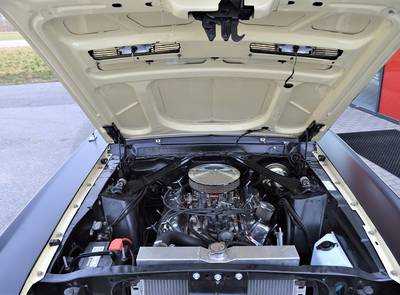 Ford Mustang Shelby Terlingua 302